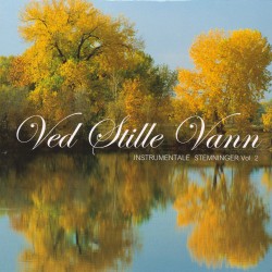 Ved Stille Vann - INSTRUMENTALE STEMNINGER Vol. 2